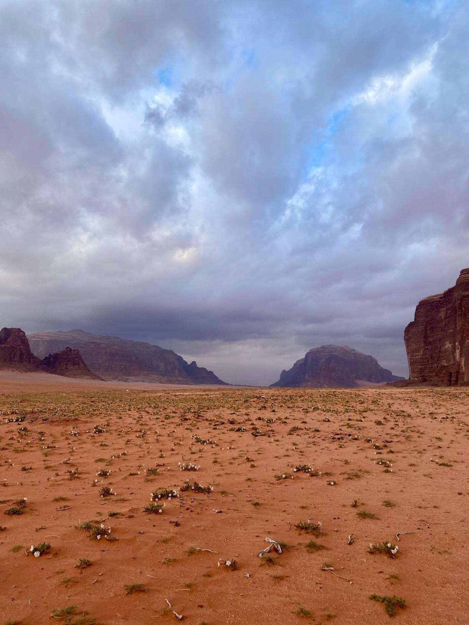 Glamp Camp Wadi Rum Ngoại thất bức ảnh